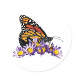 Monarch Butterfly on Aster Round Stickers