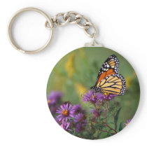 Monarch Butterfly on Asters Keychain