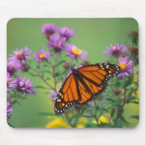 Monarch Butterfly on Asters Mousepads