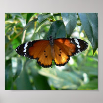 Monarch butterfly on green leaves print