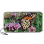 Monarch Butterfly on Pink Lantana iPod Speaker