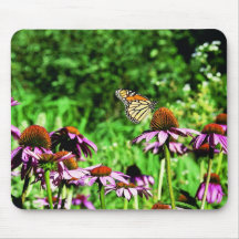 Monarch butterfly on purple prairie coneflower mouse pads