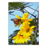 Monarch Butterfly On Sunflower (blank) Card