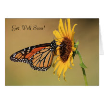 Monarch Butterfly on Yellow Sunflower Greeting Cards