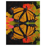 Monarch Butterfly Reflection flyers