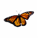 Monarch Butterfly Sculpture Acrylic Cut Out