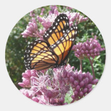 Monarch Butterfly Sticker