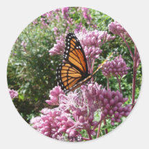 Monarch Butterfly Stickers