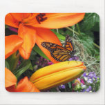 Monarch Butterfly Throne Orange Nature Mouse Pad