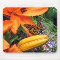Monarch Butterfly Throne Orange Nature Mouse Pad mousepads