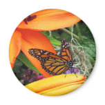 Monarch Butterfly Throne Refrigerator Magnet