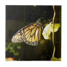 Monarch Butterfly Tile