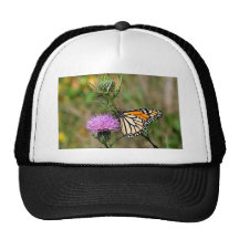 Monarch Butterfly Trucker Hat