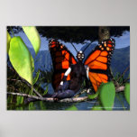 Monarch Fairy Poster posters