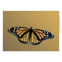 Monarch Greeting Cards