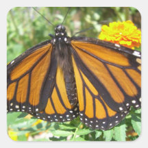 Monarch Majesty (4) Stickers