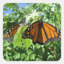 Monarch Majesty (5) Stickers