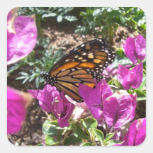 Monarch Majesty (6) Stickers