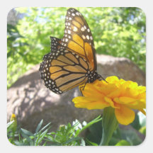 Monarch Majesty (7) Stickers