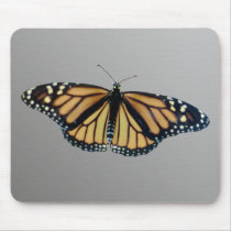 Monarch