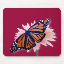 Monarch