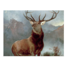 Monarch of the Glen, 1851 Postcard