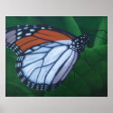 Monarch Poster posters