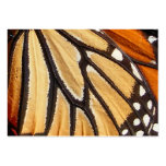 Monarch Wing ~ ATC business cards