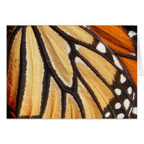 Monarch Wing ~ card