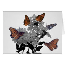 Monarchs and Penta Card