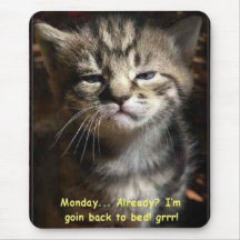 monday cat mouse pads