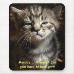 monday cat mouse pads