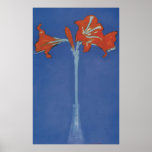 Mondrian Amaryllis in a Flash Posters