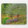 Monet Landscape Mouse Mats