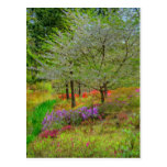 Monet Landscape Postcards