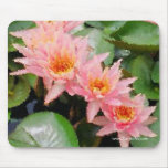 "Monet" Water Lily Cluster Mousepad