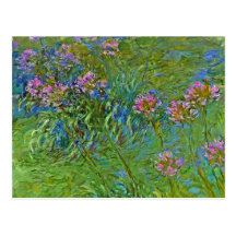 Monet's Agapanthus Flowers Postcards