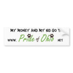 Money & Kids Bumper Sticker bumper stickers