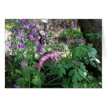 Money Plant & Bleeding Hearts Card