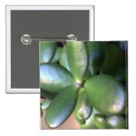 Money Plant Pinback Button