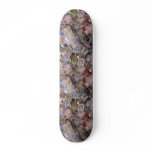 Money Skateboard