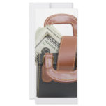 MoneyBag061509