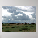 Mongolian Horses posters