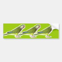 Monk Parakeet Bumper Sticker