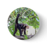 Monkey and Baby Buttons