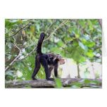 Monkey and Baby Card