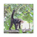 Monkey and Baby Fridge Magnets