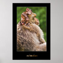 Monkey Baby 1 Posters