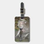 Monkey & Baby Luggage Tag