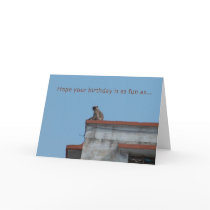 monkey birthday card
